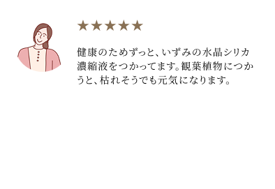 Ellipse1-1